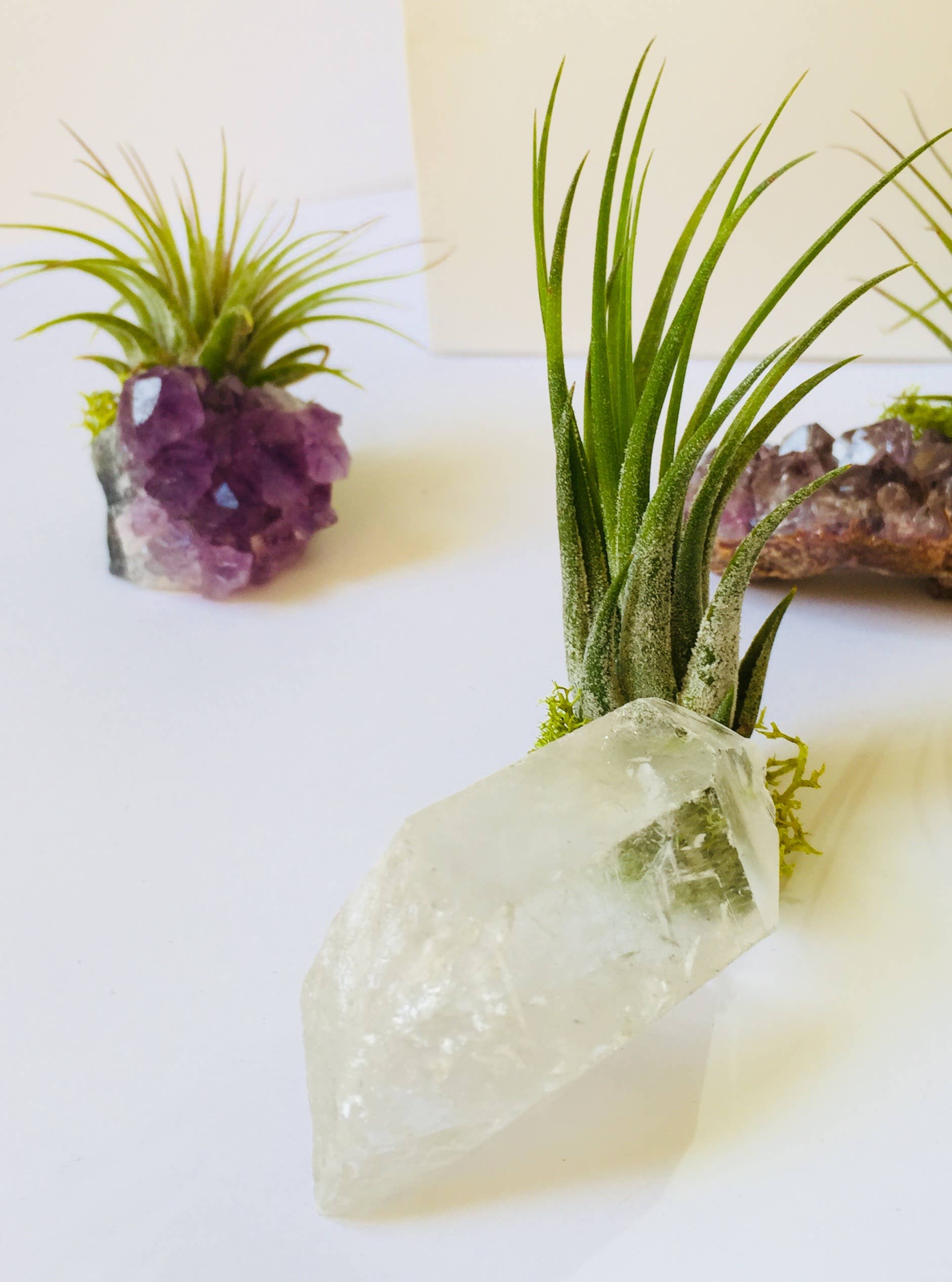 Crystal Air Plants l Air Plant Holder l Crystal Gift