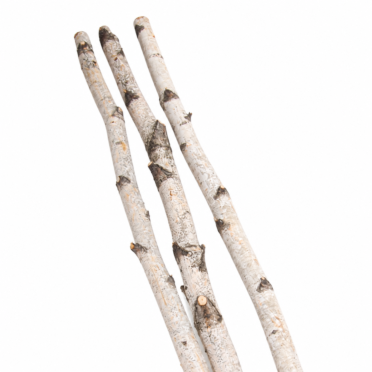 Natural 4 Foot Birch Poles