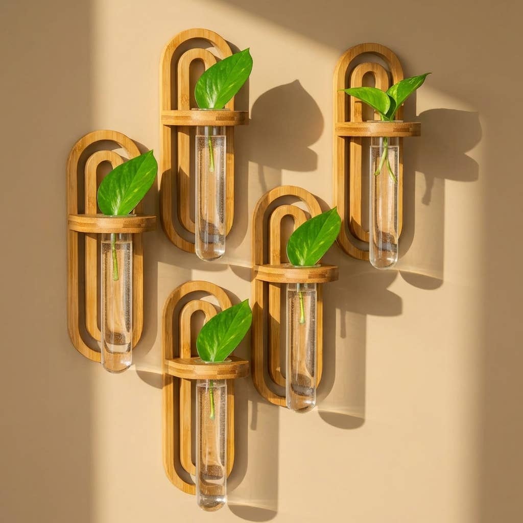Bamboo Propagation Wall Hanger | Bestseller